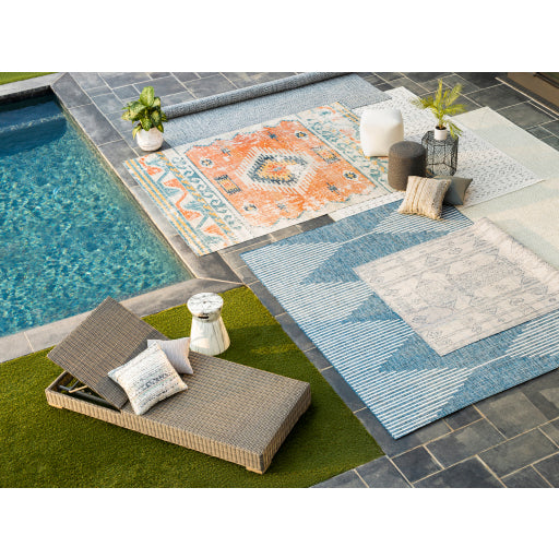 Surya Chesapeake Bay Area Rug Collection - CPK2304-35 FREE Rug Grips on 6x9 and Larger